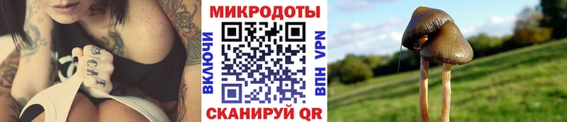 Псилоцибиновые грибы мицелий  Мамоново 